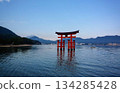 A fantastic morning scene of the Otorii gate 134285428