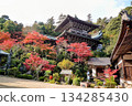 A temple surrounded by autumn leaves 134285430