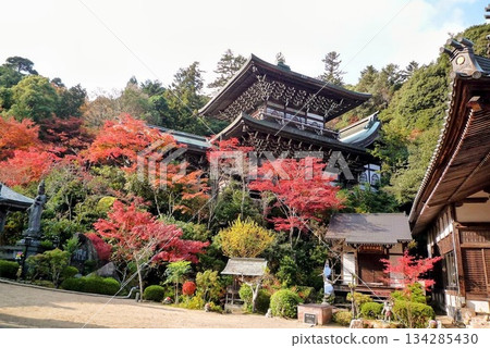 A temple surrounded by autumn leaves 134285430
