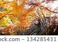 Beautiful autumn leaves and a bronze statue illuminated by the sun 134285431