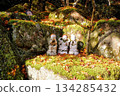 Scenery of autumn leaves falling on Jizo statue 134285432