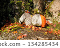Smiling Jizo statue surrounded by autumn leaves 134285434
