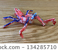 一個孩子用筷子、摺紙和膠帶製作的蜘蛛（狼蛛式）工藝品。 134285710