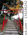 Bright red torii gate and autumn leaves 134286242