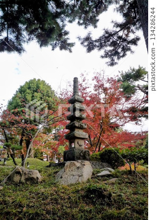 秋葉和石塔 134286244