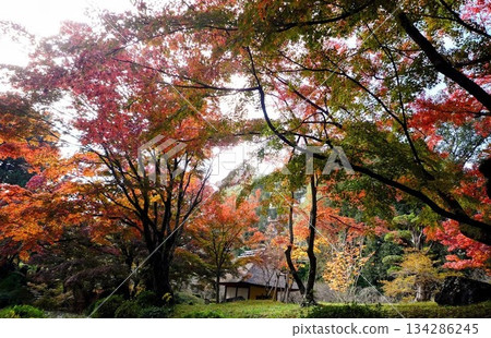 被秋葉包圍的花園 134286245