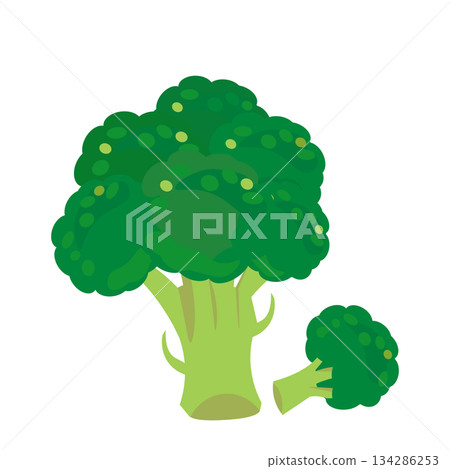 簡單的硬花甘藍的例證 簡單的硬花甘藍的例證 134286253