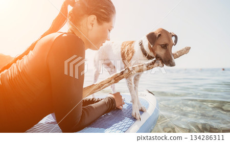Sea woman sup. Silhouette of happy positive young woman with her dog, surfing on SUP board through calm water surface. Idyllic sunset. Active lifestyle at sea or river. Summer vacation with pets. Sea woman sup. Silhouette of happy positive young woman with her dog, surfing on SUP board through calm water surface. Idyllic sunset. Active lifestyle at sea or river. Summer vacation with pets. 134286311