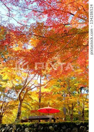 秋日意像素材,包括日本雨傘和秋葉。 秋日意像素材,包括日本雨傘和秋葉。 134286524