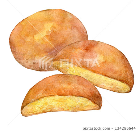 水彩插畫，手繪插畫，佐賀波羅 134286644