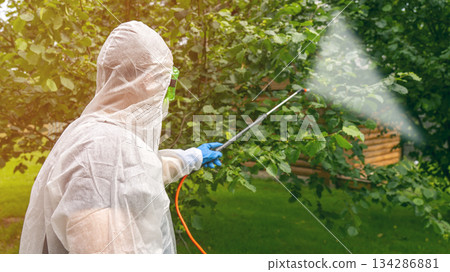 Treatment of plants in the garden with pesticides and fungicides to protect against diseases and pests 134286881