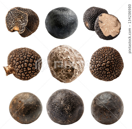 Closeup of norcia and bianchetto truffle showcasing its detailed texture and pattern, isolated on a white background. Closeup of norcia and bianchetto truffle showcasing its detailed texture and pattern, isolated on a white background. 134286980