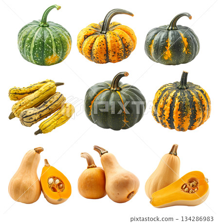 Amber cup squash isolated on a white background, great for autumn themes and decorations 134286983