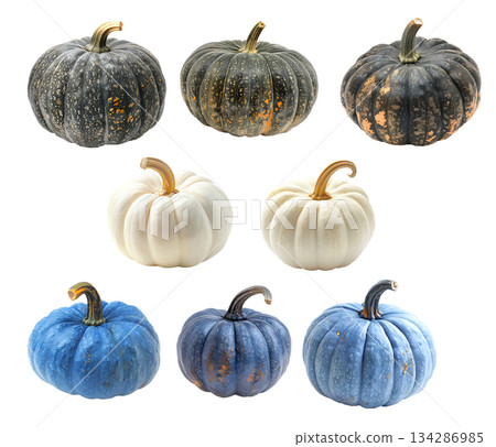 Blue Jarrahdale and Connecticut pumpkin with a green stem isolated on a white background 134286985
