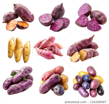 Fingerling potatoes isolated on a white background Fingerling potatoes isolated on a white background 134286987