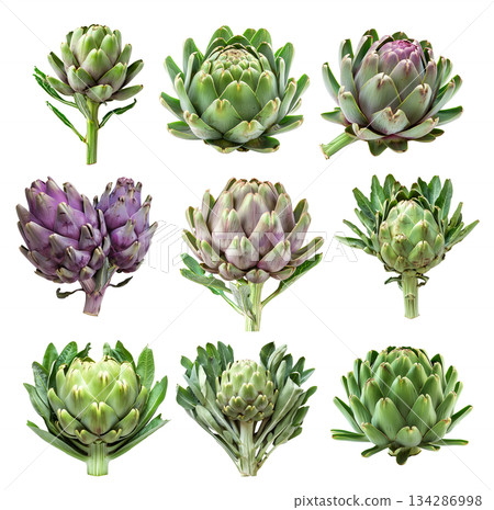 Set of Green artichoke with a purple base is isolated on a white background 134286998