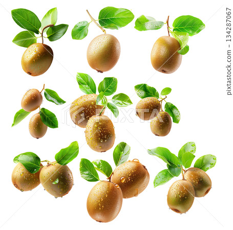 Set of kiwi fruits with vibrant green flesh and brown fuzzy skin, isolated on white transparent background. 134287067