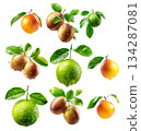 Set of golden plums, lime and mango with dew drops, leaves isolated on a white transparent background. 134287081