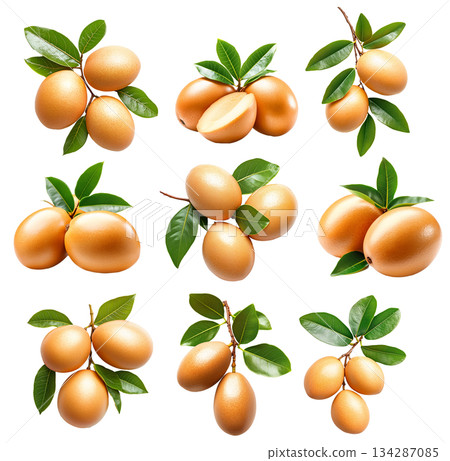 Set of sapodilla fruits with green leaves on branch, isolated on white transparent background for natural concept Set of sapodilla fruits with green leaves on branch, isolated on white transparent background for natural concept 134287085