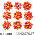 Set of fresh, colorful red and orange ackee isolated on white transparent background 134287087