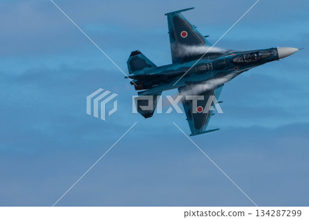 warplane, flight, aviation festival 134287299