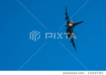 戰鬥機 蒼蠅 飛翔 134287301