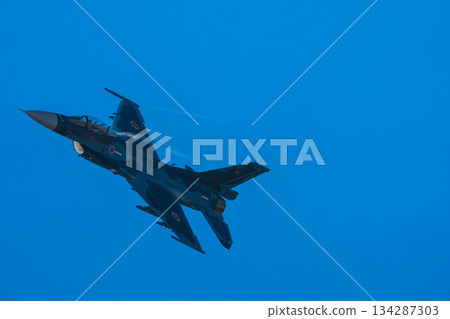 戰鬥機 自衛隊 蒼蠅 134287303