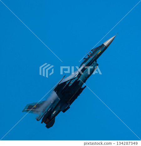 戰鬥機 蒼蠅 飛翔 134287349
