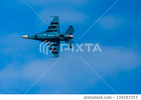戰鬥機 蒼蠅 飛翔 134287353