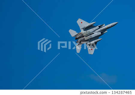 戰鬥機 蒼蠅 飛翔 134287465