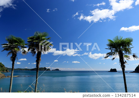 The blue waters and sky of the Pacific Ocean can be seen from the unmanned station next to the coast 134287514