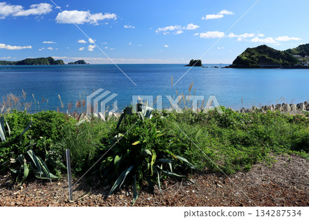 The blue waters and sky of the Pacific Ocean can be seen from the unmanned station next to the coast The blue waters and sky of the Pacific Ocean can be seen from the unmanned station next to the coast 134287534