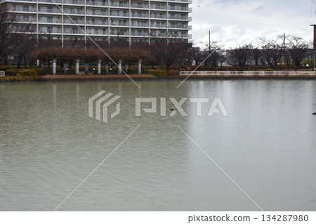 開塞山公園：建築物倒映在湖面上 134287980