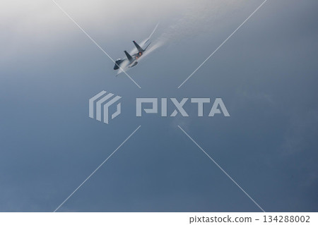 戰鬥機 蒼蠅 飛翔 134288002