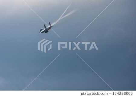 戰鬥機 蒼蠅 飛翔 134288003