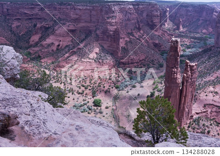 Left side of Spider Rock, Canyon de Chelly Left side of Spider Rock, Canyon de Chelly 134288028