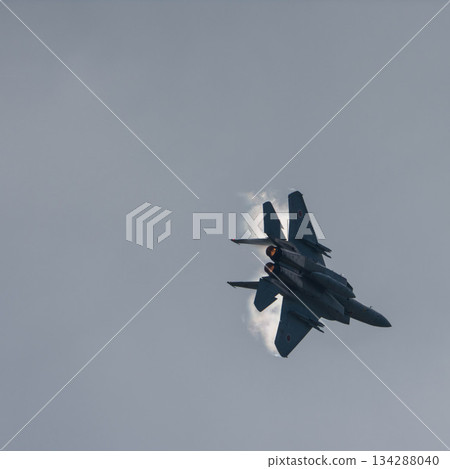 戰鬥機 蒼蠅 飛翔 134288040