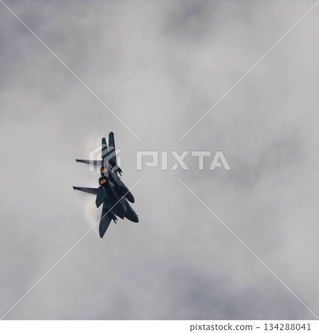 戰鬥機 蒼蠅 飛翔 134288041