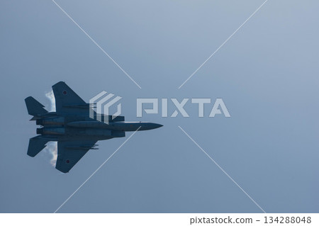 戰鬥機 飛機 蒼蠅 134288048