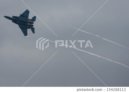 戰鬥機 蒼蠅 飛翔 134288111