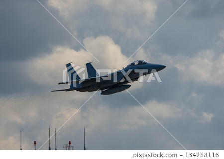 戰鬥機 蒼蠅 飛翔 134288116