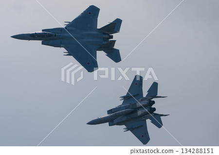 戰鬥機 蒼蠅 飛翔 134288151