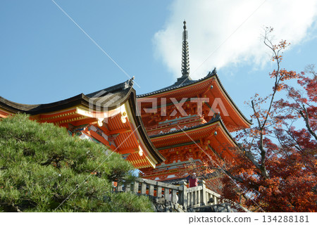 京都市東山區清水區清水寺西門及三重塔的秋景 134288181