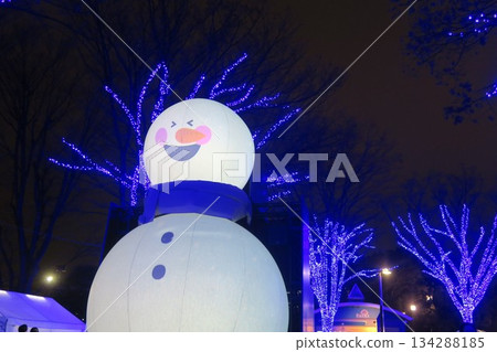 Enjoy the illuminations at the Blue Cave Enjoy the illuminations at the Blue Cave 134288185