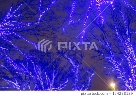 The Blue Cave, with its fantastic blue illuminations The Blue Cave, with its fantastic blue illuminations 134288189