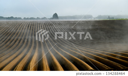 春天的田野 134288464