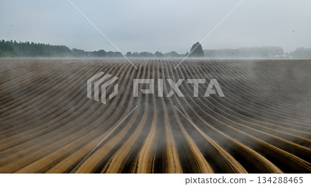 春天的田野 134288465