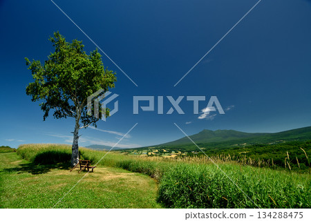 Starry Breeze Hill Starry Breeze Hill 134288475