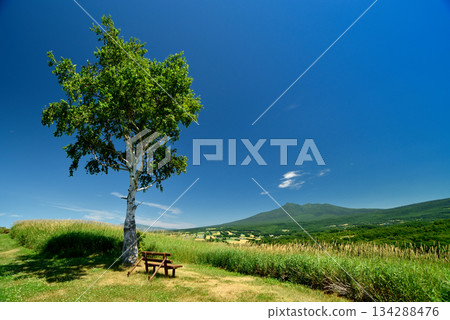 Starry Breeze Hill Starry Breeze Hill 134288476