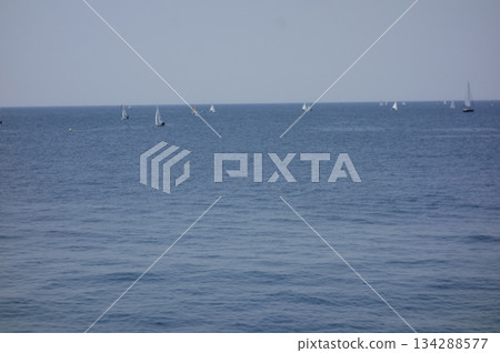 Zushi City and Hayama Town, Kanagawa Prefecture: Sails of yachts and windsurfers can be seen on the distant sea. 134288577